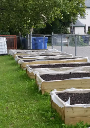 McDermotGarden1