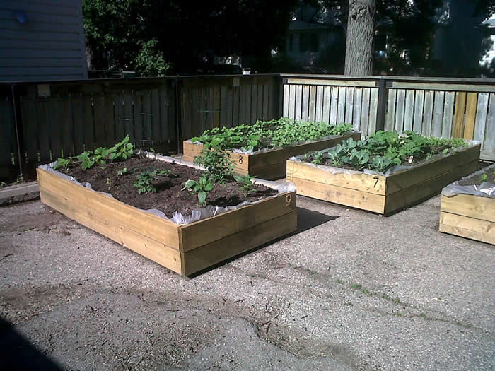 Winnipeg-20120705-00028